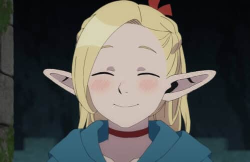Marcille from Delicious in Dungeon anime Netflix