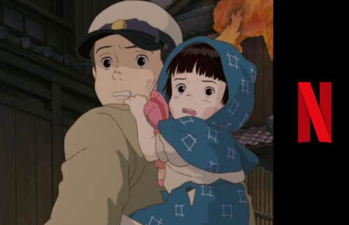 Die letzten Glühwürmchen netflix