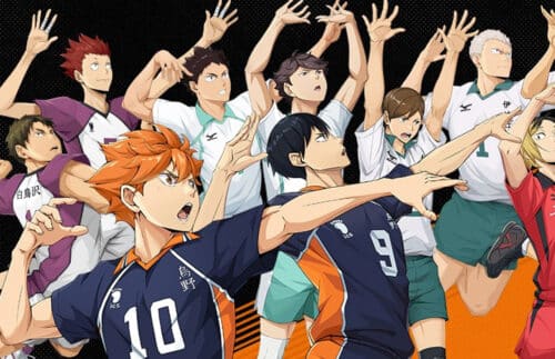 HAIKYU!! FLY HIGH